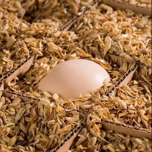 【助农】助销农家土鸡蛋，杂粮散养，营养丰富 商品图2