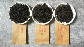 [第34期]鬼洞奇种、铁罗汉、肉桂对冲