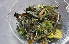 [第43期] 方守龙2017年夏牡丹茶（福鼎白茶 | 幽兰甘醇）