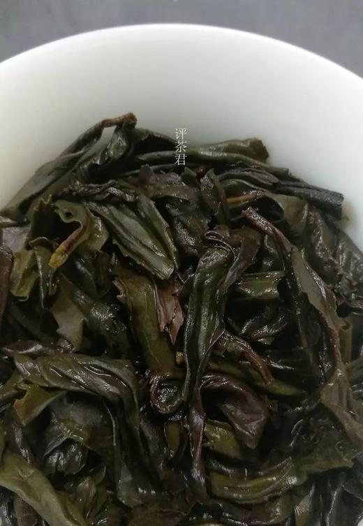 [第38期]2017年奇丹纯种大红 商品图0