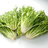 丝丝菜（新鲜苦菊） 商品缩略图2