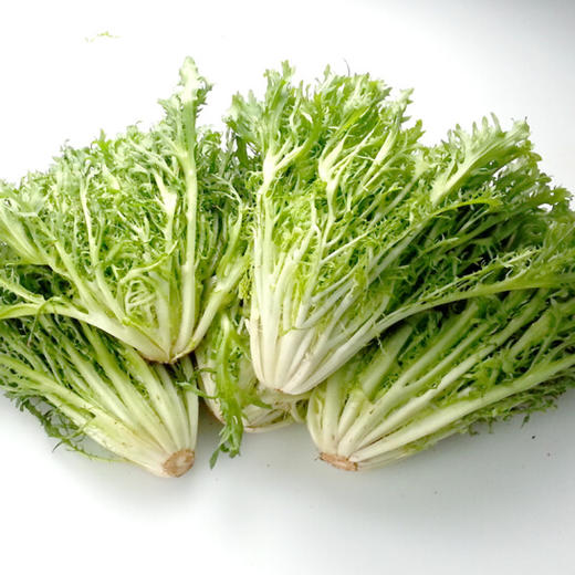 丝丝菜（新鲜苦菊） 商品图2