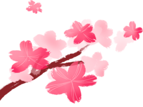 价格日历测测测