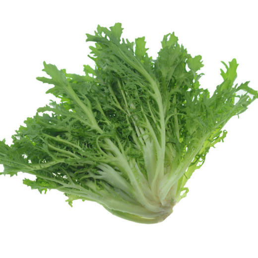 丝丝菜（新鲜苦菊） 商品图0