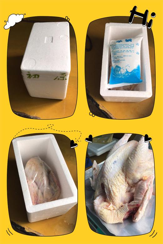 童子鸡 商品图4