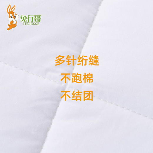 冬被芯 商品图4
