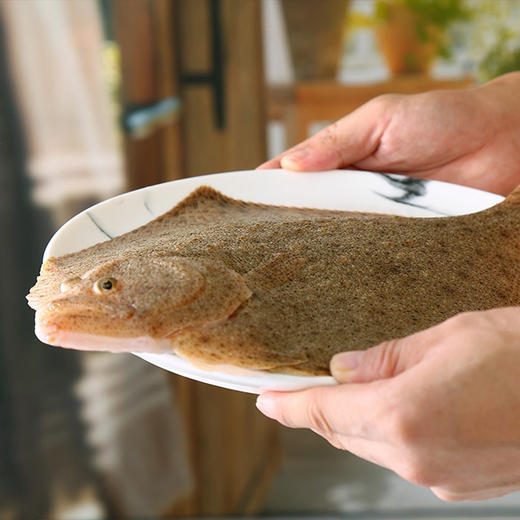 【活】活多宝鱼 600g-700g/条