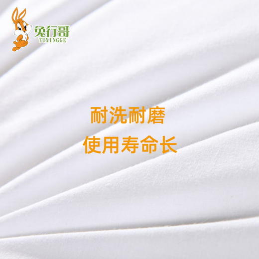 枕芯 商品图4
