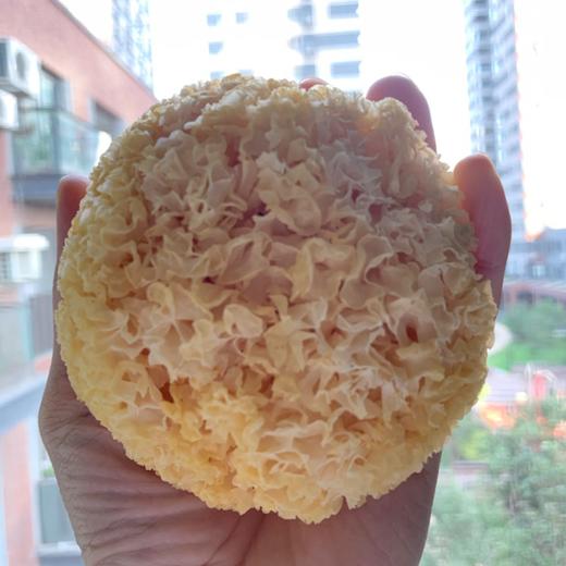 【古田银耳250g】 商品图2