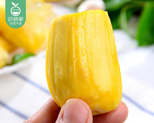 越南菠萝蜜果肉/1盒（470g±20g） 商品图6