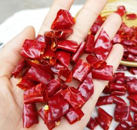 【优选新一代辣椒段】500g 无籽