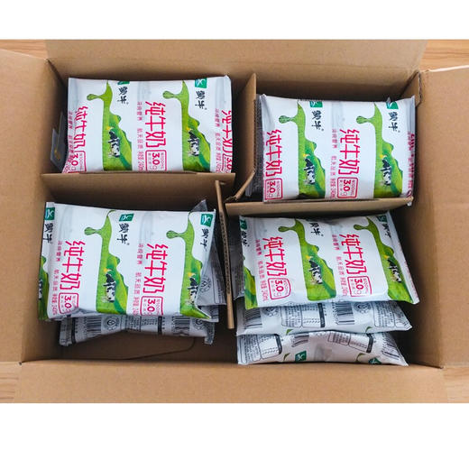 蒙牛无菌枕纯牛奶240ml*16包 商品图2