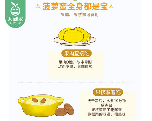 越南菠萝蜜果肉/1盒（470g±20g） 商品图4