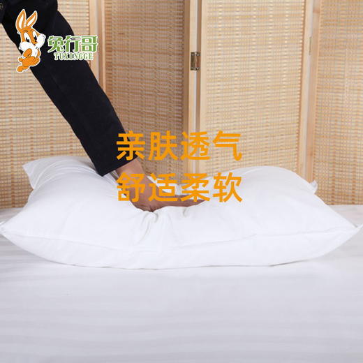 枕芯 商品图3