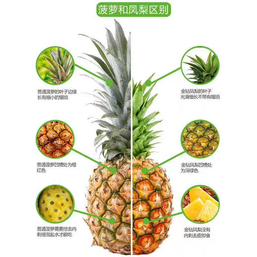 【活动】台湾屏东凤梨 单颗约1kg 口感甜而不齁 推荐