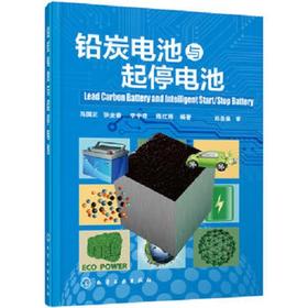 铅炭电池与起停电池