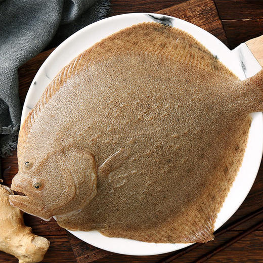 【活】活多宝鱼 600g-700g/条