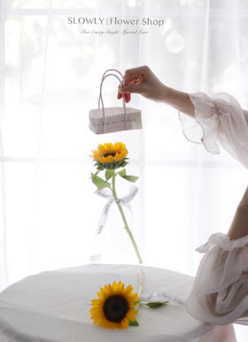 透视手提向日葵