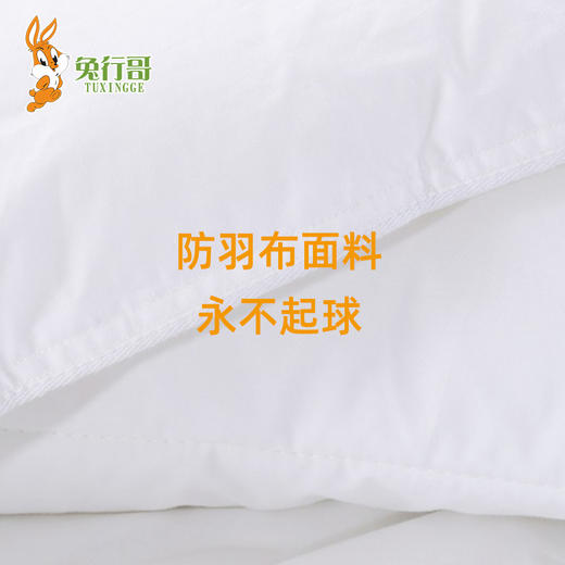 冬被芯 商品图2
