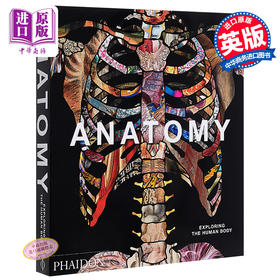 【中商原版】解剖学：探索人体 英文原版 Anatomy: Exploring the Human Body