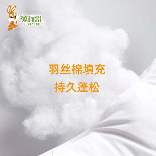 枕芯 商品图2