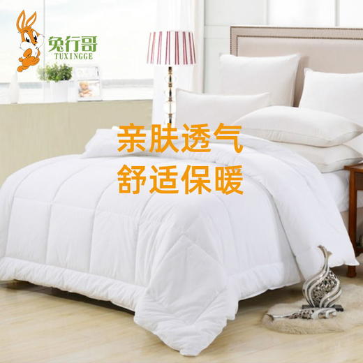 冬被芯 商品图3