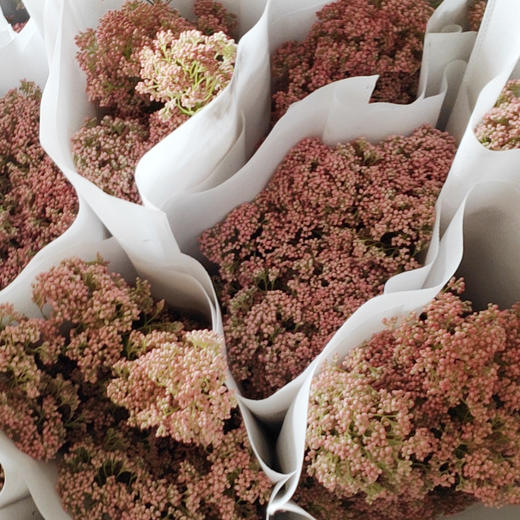 米花·粉色 商品图1