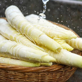 天目山春笋2023， 《舌尖》寻春美味，鲜过江南三月春，错过再等1年