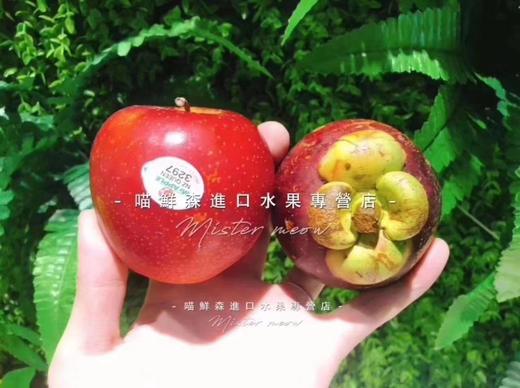 🛵【水果皇后】泰国山竹5A山竹 商品图1