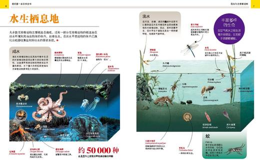 《全景图解百科全书：思维导图启蒙典藏中文版》— 揭秘动物系列（4册） 商品图7