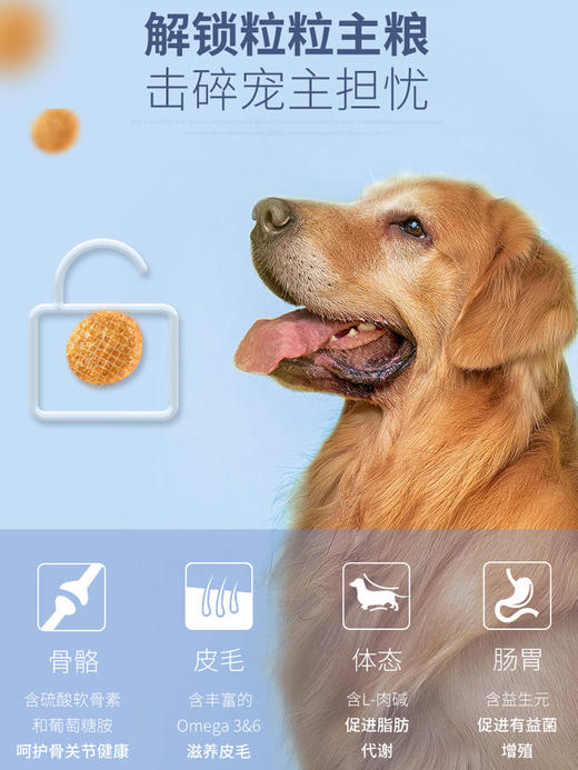 伯纳天纯狗粮中大型成犬专用粮15kg 商品图4