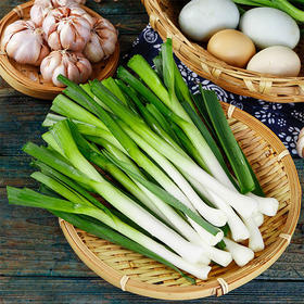 【城·食配】青蒜 约250克/份