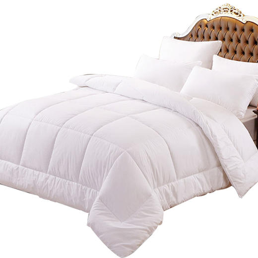 冬被芯 商品图5