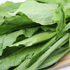 【城·食配】油麦菜  约1斤/份 商品缩略图2