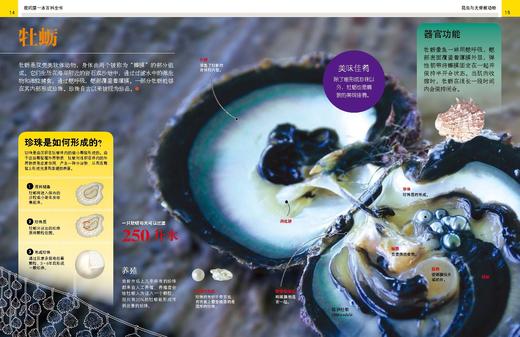 《全景图解百科全书：思维导图启蒙典藏中文版》（全16册） 商品图11