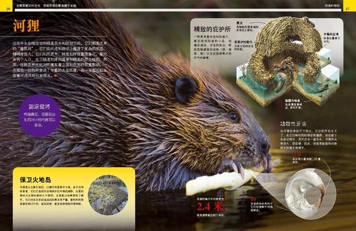 《全景图解百科全书：思维导图启蒙典藏中文版》（全16册） 商品图13