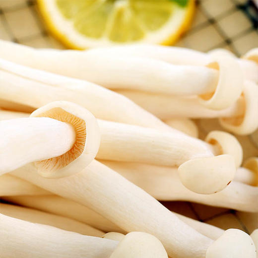 【城·食配】海鲜菇  1袋 /份 商品图2