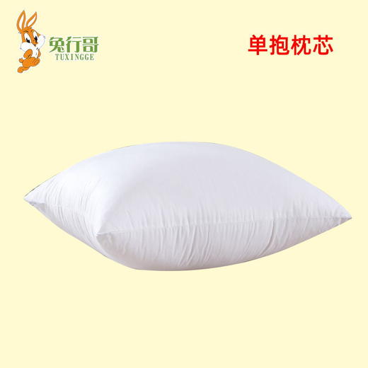 抱枕套抱枕芯 商品图3
