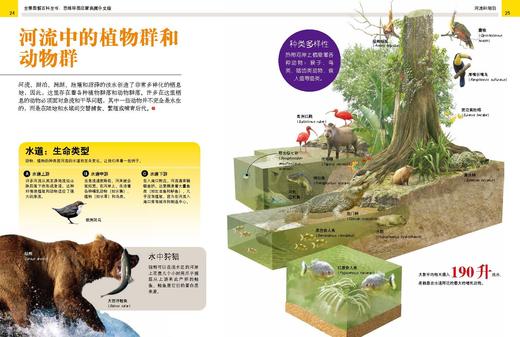 《全景图解百科全书：思维导图启蒙典藏中文版》（全16册） 商品图12