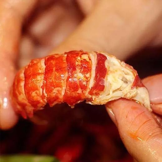 【百汇到家】特级龙虾尾 商品图2