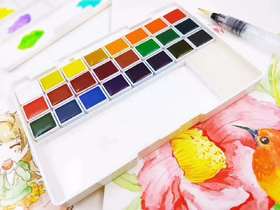 本雅固体透明水彩14色