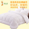 冬被芯 商品缩略图1