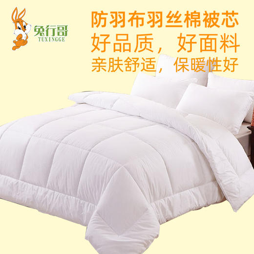 冬被芯 商品图1
