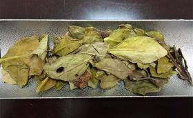 [第44期]方守龙2016年金枝玉叶（福鼎白茶 | 隽雅清幽）