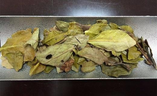 [第44期]方守龙2016年金枝玉叶（福鼎白茶 | 隽雅清幽） 商品图0