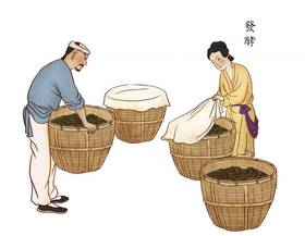 红茶工艺的灵魂——发酵