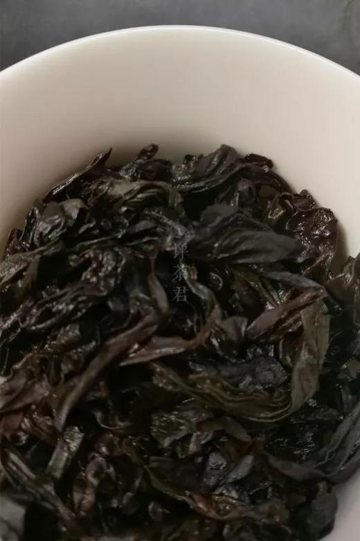 [第18期]2017年外鬼洞肉桂 商品图0