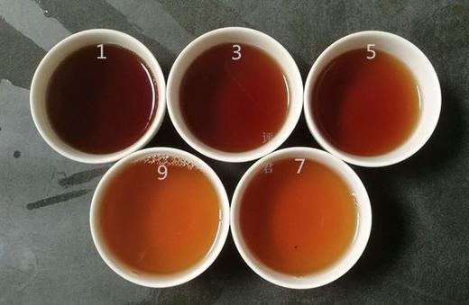 [第16期]2017年内鬼洞奇种2 商品图0