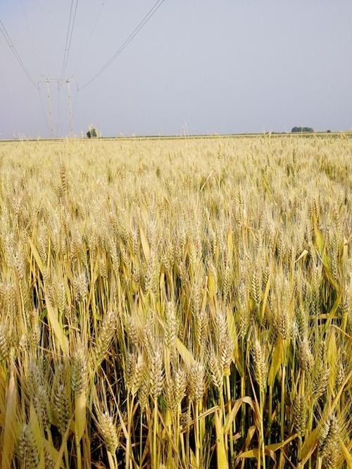 u=2664681050,1073890726&fm=26&gp=0.jpg u=2664681050,1073890726&fm=26&gp=0.jpg