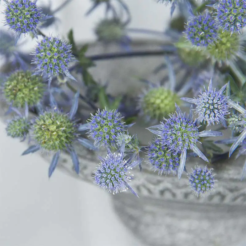 昆明鲜花情人果,500克